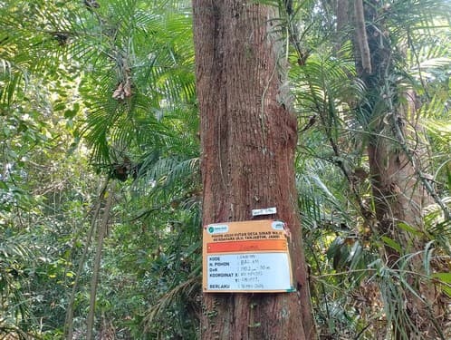 Balam Suntung