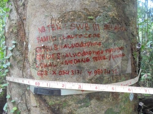 Balam Suntung