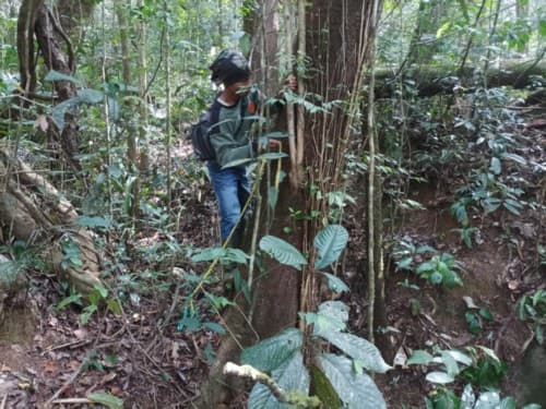 kasiah baranak